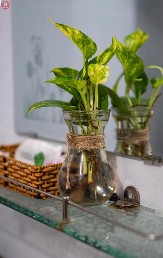 Phòng Tiêu Chuẩn Giường Đôi