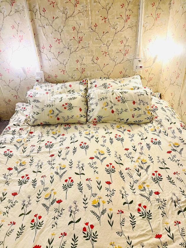 Phòng Có Giường Cỡ Queen Với Phòng Tắm Chung