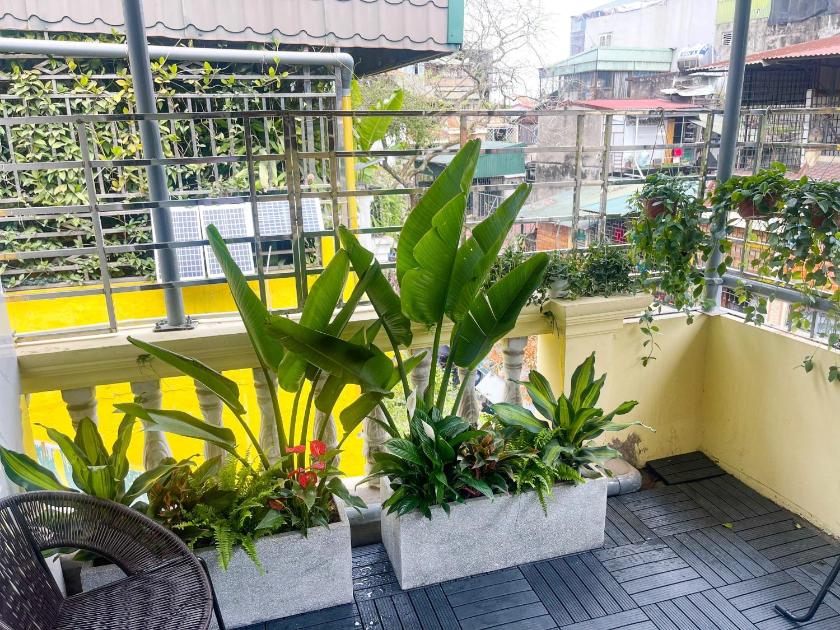 Căn Hộ 1 Phòng Ngủ Có Khu Vườn