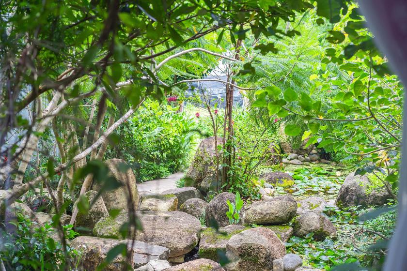 Phòng Superior 3 Người