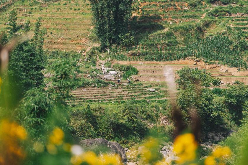 Phòng 3 Người Nhìn Ra Núi