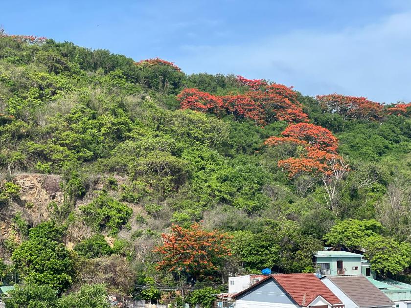 Phòng Gia đình nhìn ra Núi