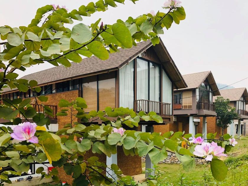 Biệt Thự 3 Phòng Ngủ