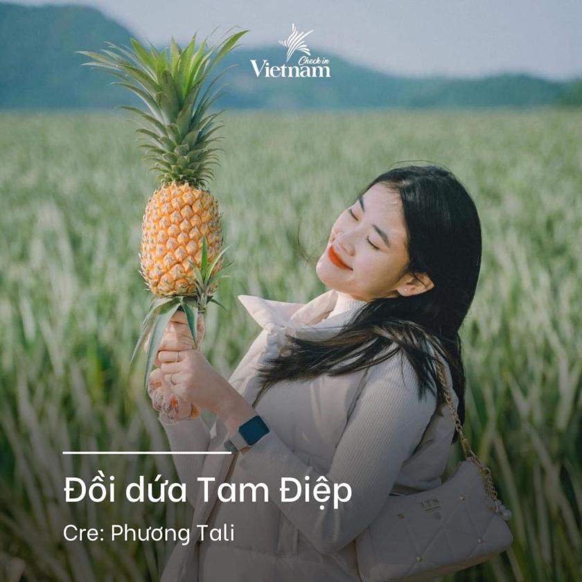 Phòng có giường cỡ King nhìn ra cảnh núi non Phòng có giường cỡ King nhìn ra cảnh núi non