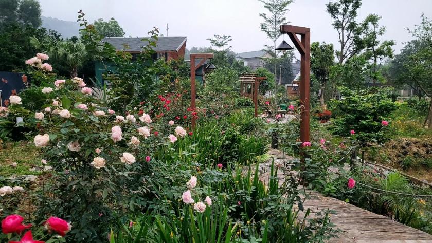 Phòng Giường Đôi Nhìn Ra Núi