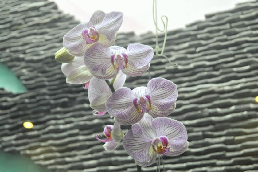 Phòng Deluxe Có Giường Cỡ Queen