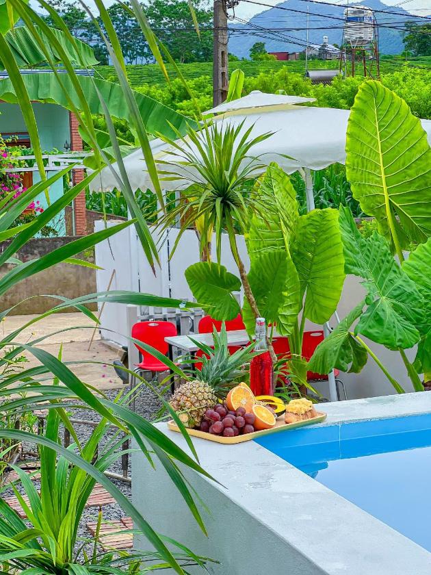 Căn Hộ 2 Phòng Ngủ