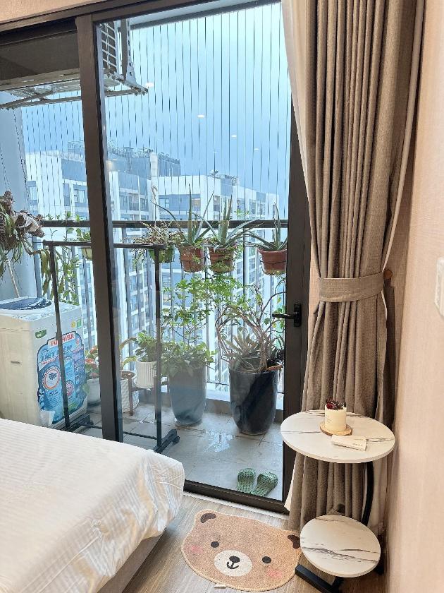 Căn Hộ 1 Phòng Ngủ