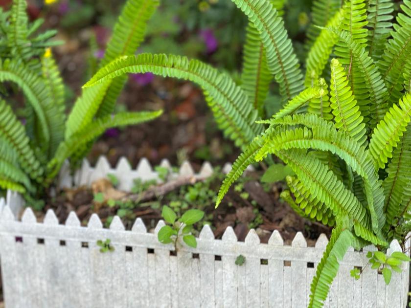 Phòng Giường Đôi