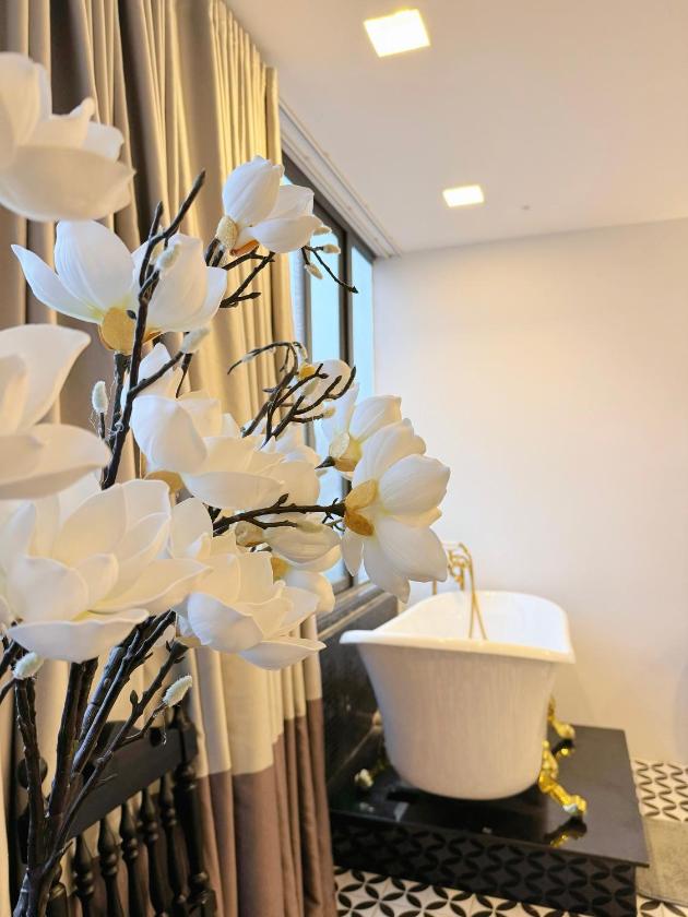 Suite Junior Suite Junior