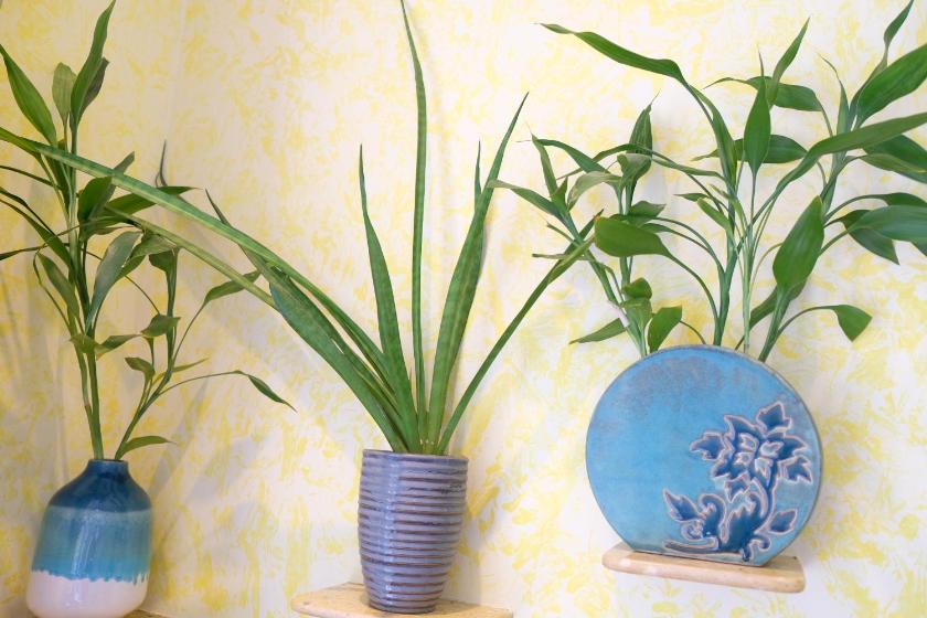 Phòng Giường Đôi Nhìn Ra Hồ Bơi