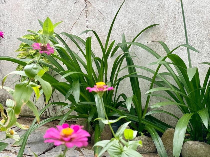 Phòng Deluxe Có Giường Cỡ Queen