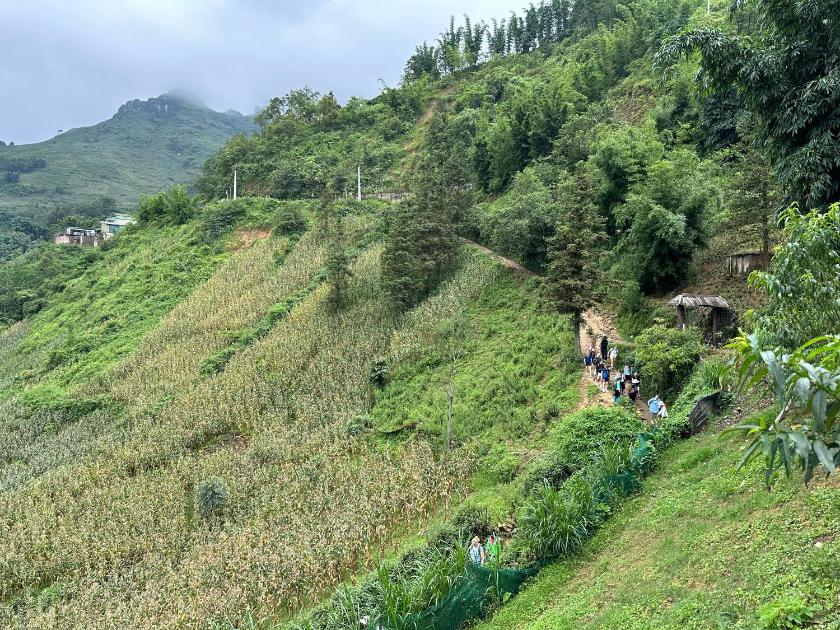 Giường Trong Phòng Ngủ Tập Thể 8 Giường