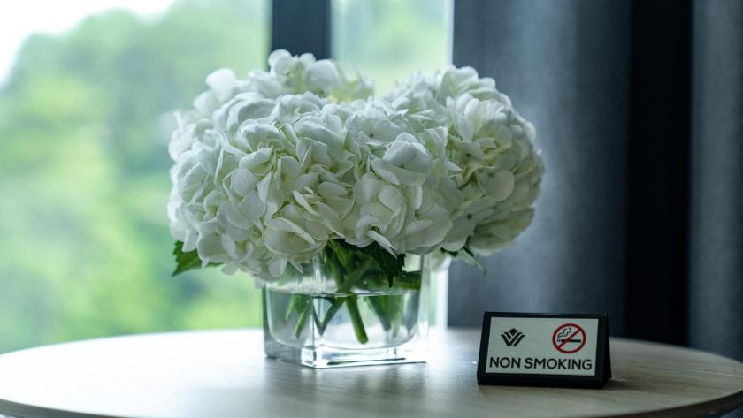 Superior Garden Twin Room with Hill View - Mobility Accessible