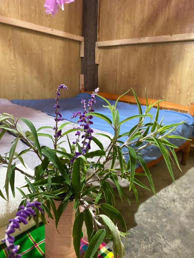 Phòng Giường Đôi Với Phòng Tắm Chung