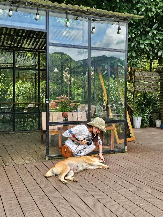 Bungalow 1 Phòng Ngủ