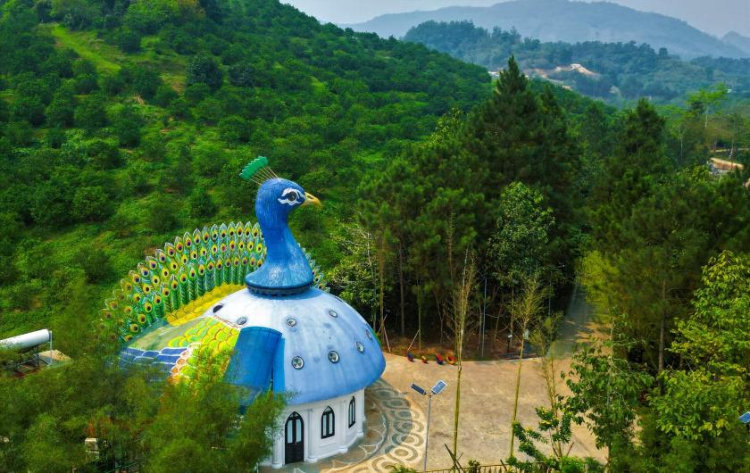 Suite Junior Nhìn Ra Vườn