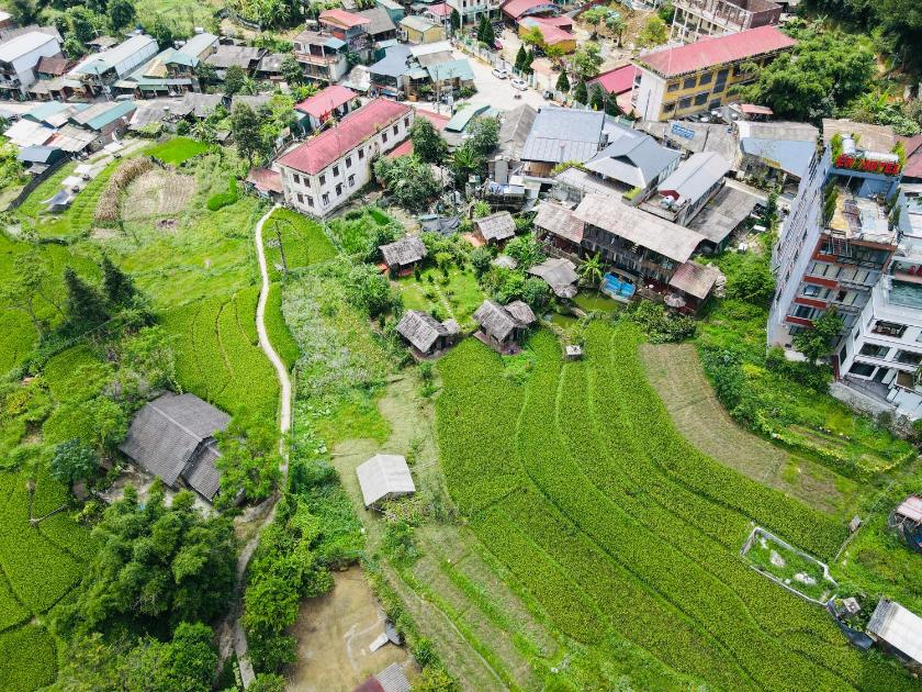 Bungalow Tiêu Chuẩn 