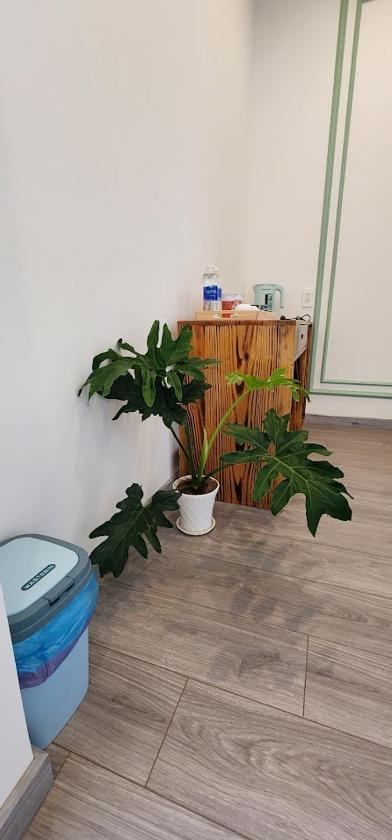 Suite Có Giường Cỡ King Và Bồn Tắm Spa