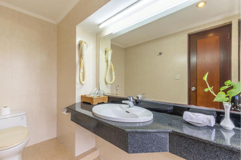 Phòng Deluxe Giường Đôi/2 Giường Đơn Nhìn Ra Vườn