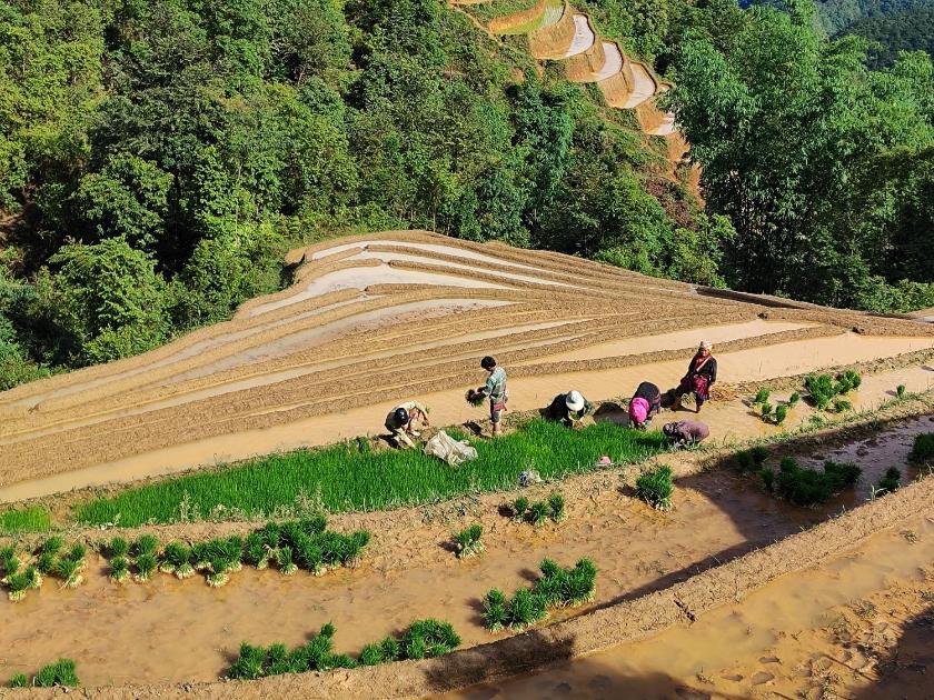 Phòng Deluxe Giường Đôi Có Vòi Sen Phòng Deluxe Giường Đôi Có Vòi Sen