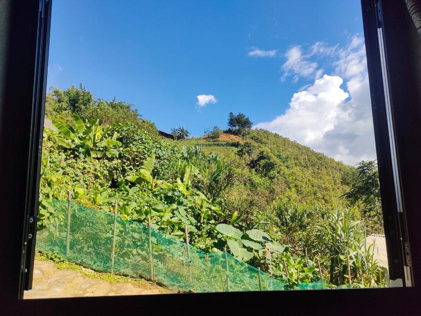 Phòng Giường Đôi Nhìn Ra Vườn