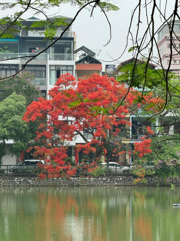 Phòng Deluxe Gia đình