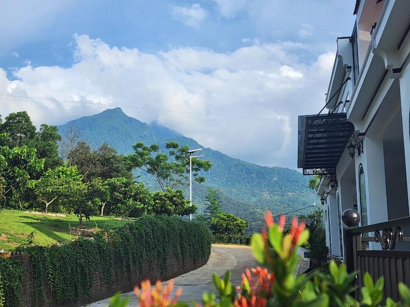 Phòng Ngủ Tập Thể Cho Cả Nam Và Nữ