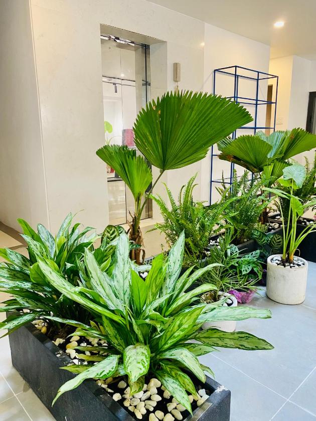 Căn Hộ 1 Phòng Ngủ