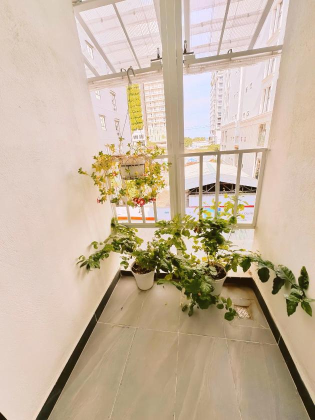 Studio Có Giường Cỡ Queen