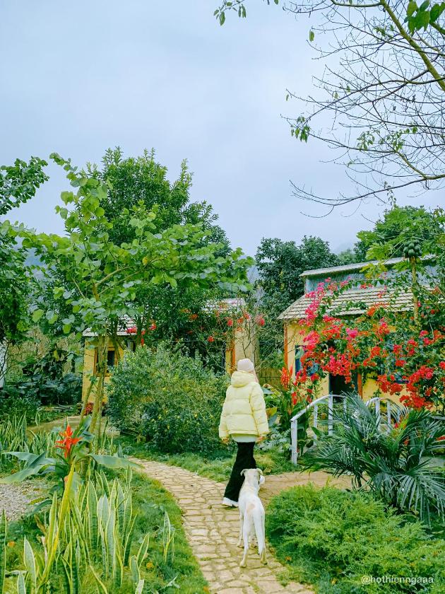 Giường Trong Phòng Ngủ Tập Thể 10 Giường Cho Cả Nam Lẫn Nữ