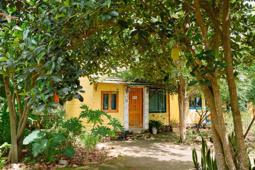 Phòng 4 người nhìn ra vườn