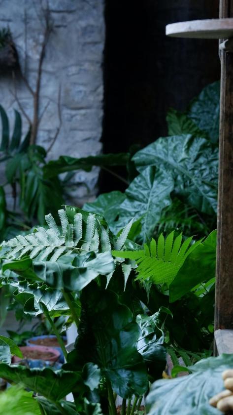 Phòng Đơn với Nhà vệ sinh Chung