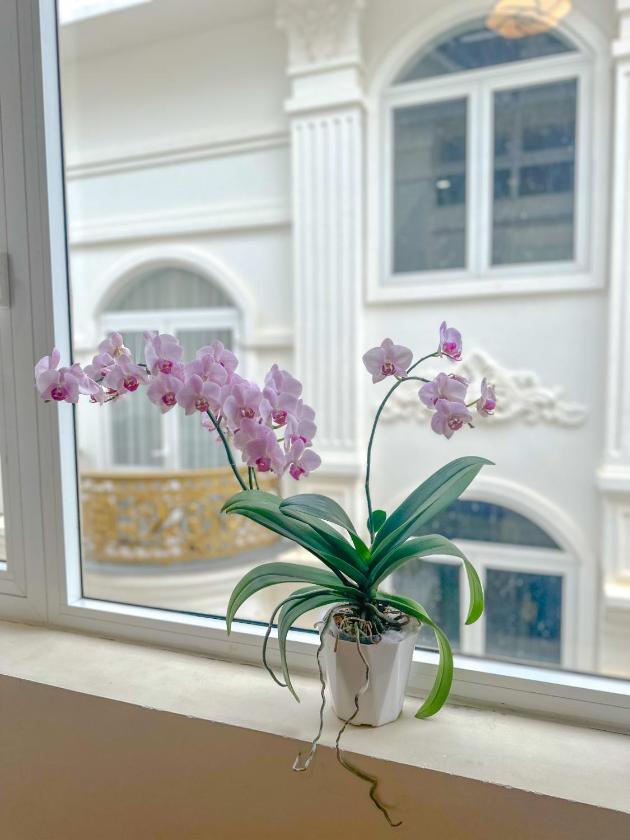 Phòng Superior Giường Đôi Phòng Superior Giường Đôi