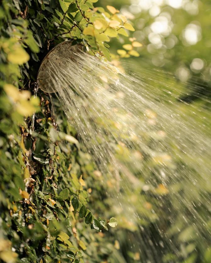 Phòng Deluxe cho 3 Người