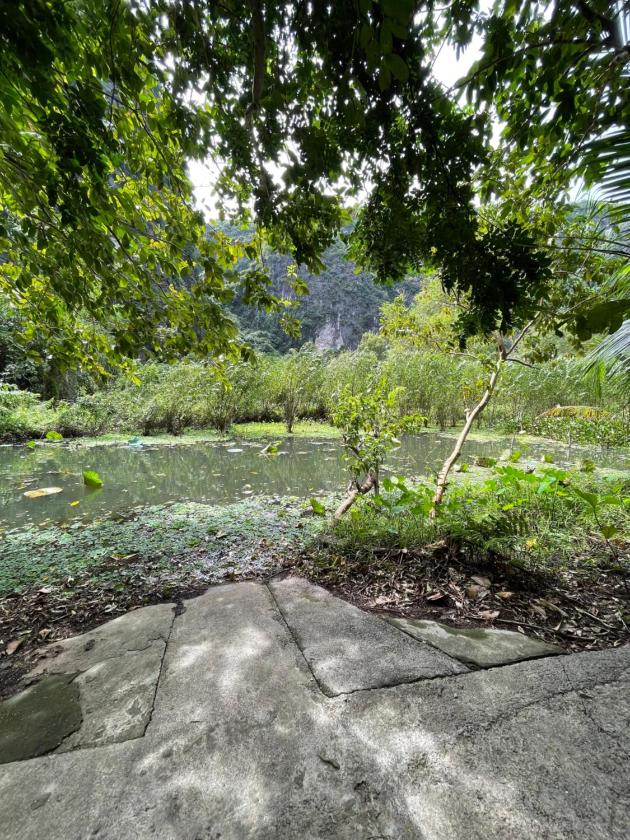 Phòng Giường Đôi Bên Hồ Sen