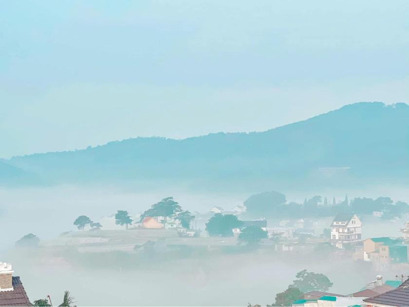 Studio Nhìn Ra Vườn Studio Nhìn Ra Vườn