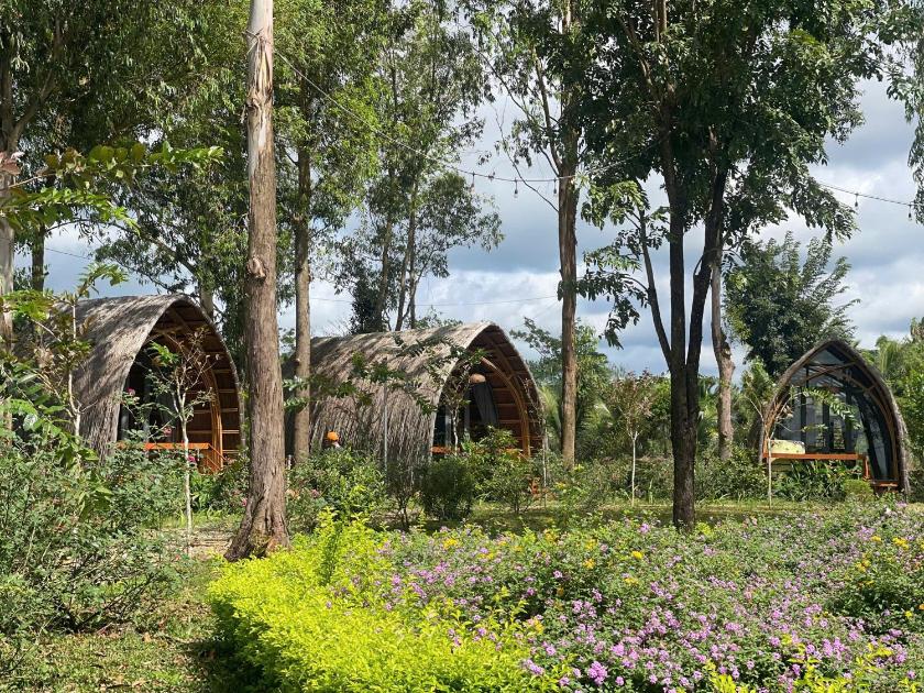 Phòng Giường Đôi Nhìn Ra Vườn