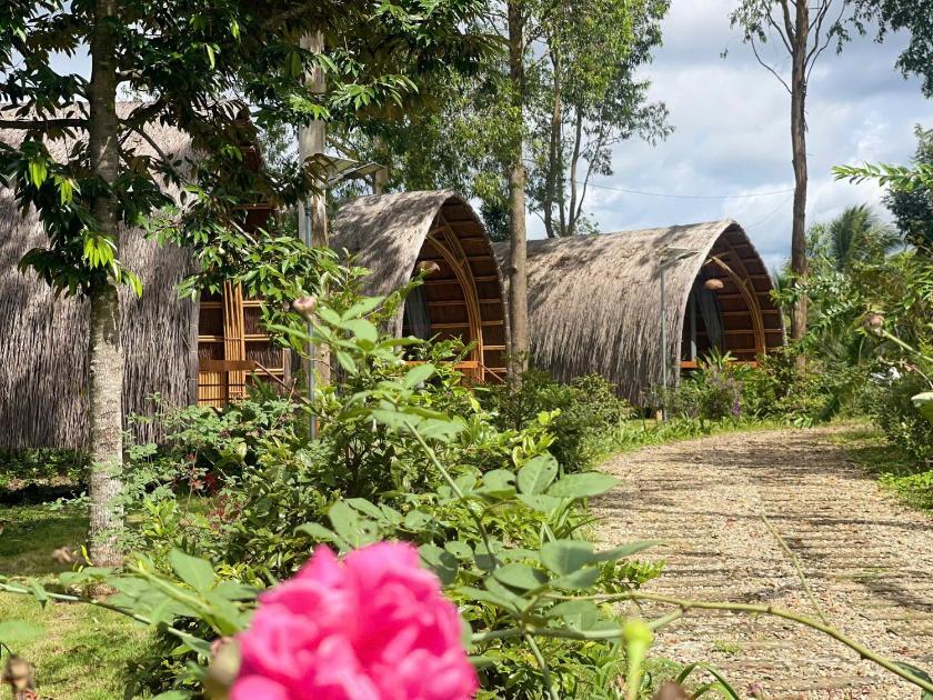 Phòng Giường Đôi Nhìn Ra Vườn