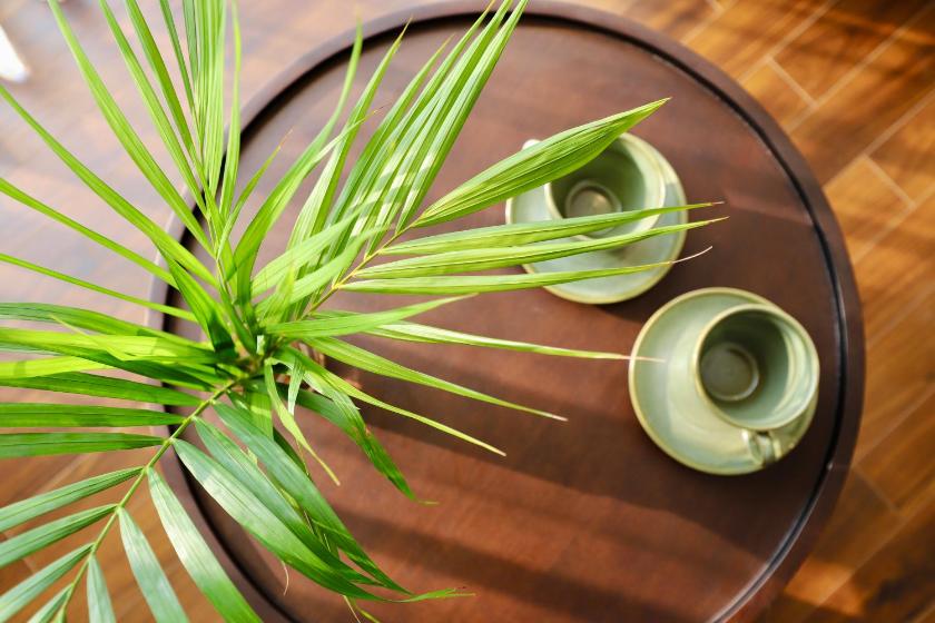 Studio Apartment with King Bed