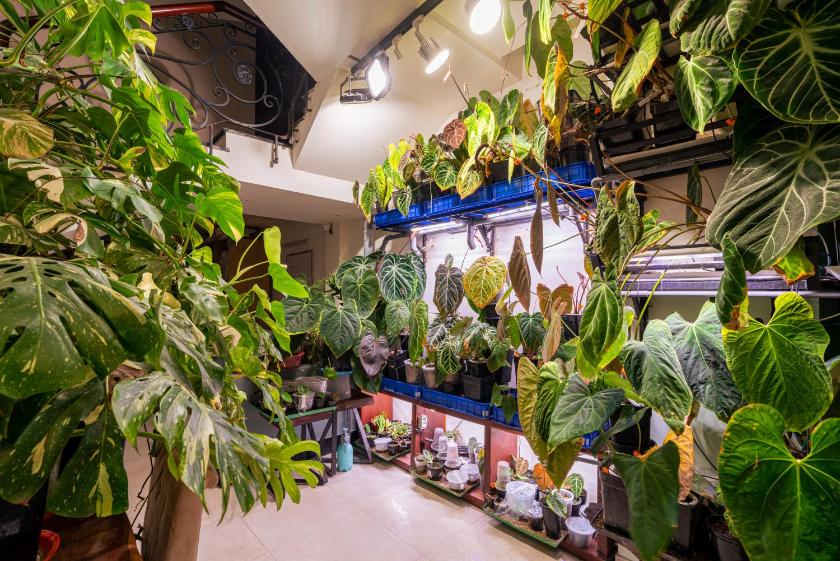 Phòng Giường Đôi