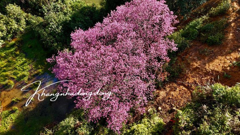 Giường Đơn Trong Phòng Nghỉ Tập Thể Cho Cả Nam Và Nữ