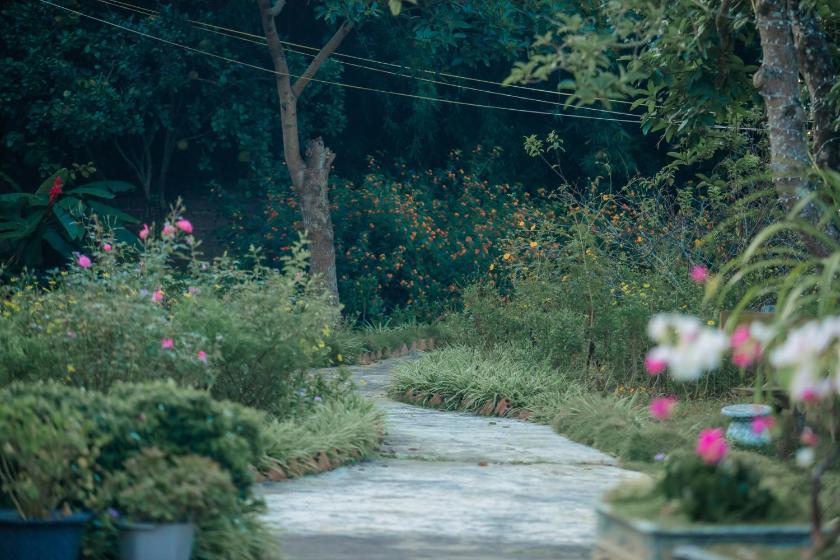 Phòng Deluxe Giường Đôi