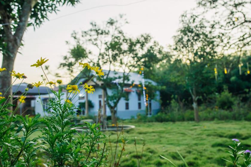 Phòng Ngủ Tập Thể 10 Giường Cho Cả Nam Và Nữ