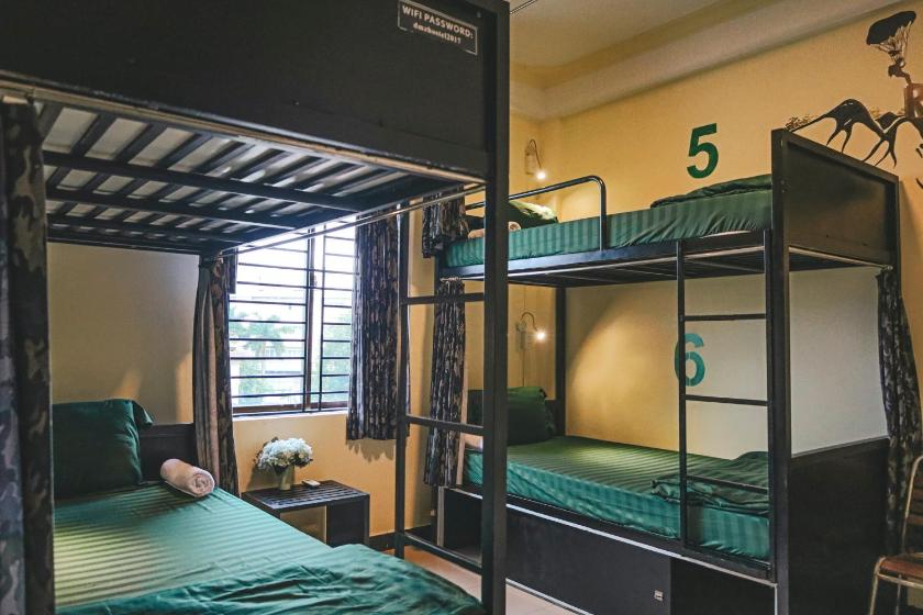 Giường Tầng Trong Phòng Ngủ Tập Thể Cho Nam Và Nữ Giường Tầng Trong Phòng Ngủ Tập Thể Cho Nam Và Nữ