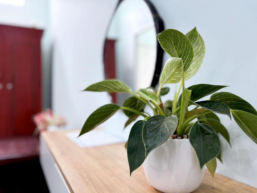 Phòng 4 Người Phòng 4 Người