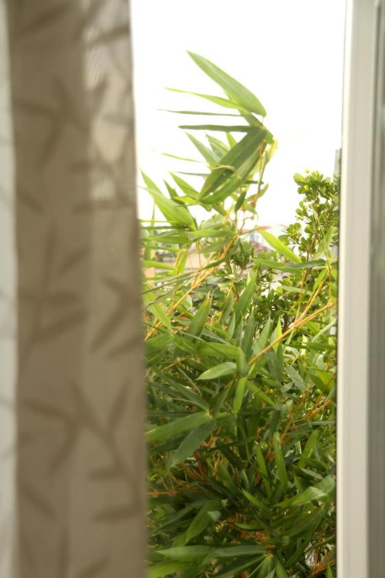 Phòng Deluxe Gia đình Phòng Deluxe Gia đình