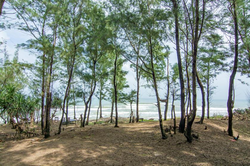 Biệt Thự Shadyside 3 Phòng Ngủ (Có Hồ Bơi Riêng) Biệt Thự Shadyside 3 Phòng Ngủ (Có Hồ Bơi Riêng)