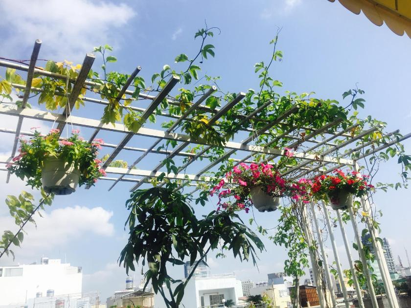 Phòng Giường Đôi Với Sân Hiên + Dịch Vụ Giặt Là Miễn Phí Phòng Giường Đôi Với Sân Hiên + Dịch Vụ Giặt Là Miễn Phí