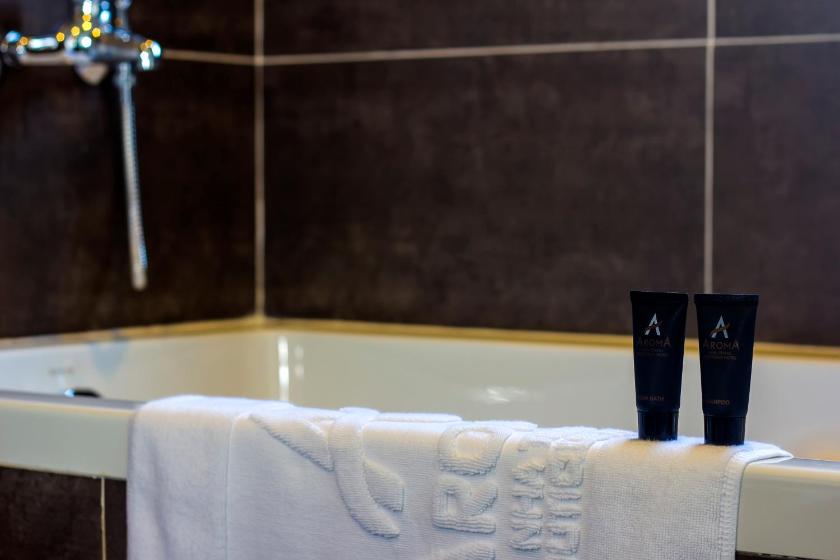 Phòng Executive Giường đôi/2 Giường đơn Nhìn ra Thành phố và có Ban công